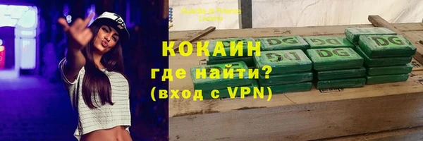 индика Баксан