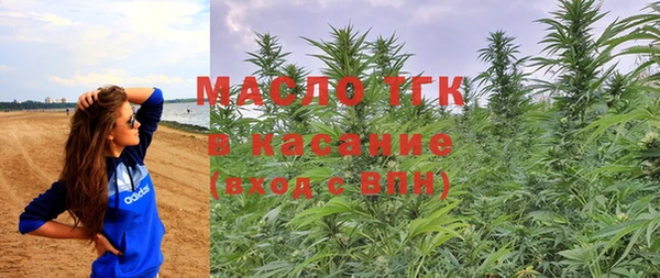 индика Баксан