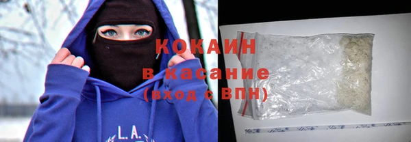 индика Баксан
