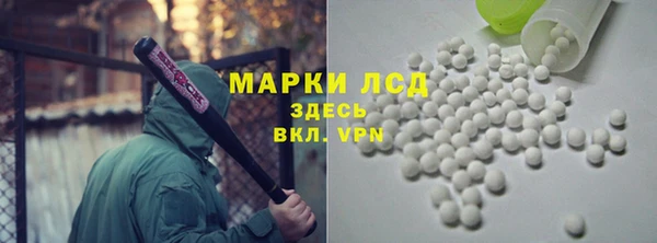 индика Баксан