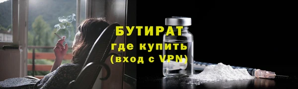 индика Баксан