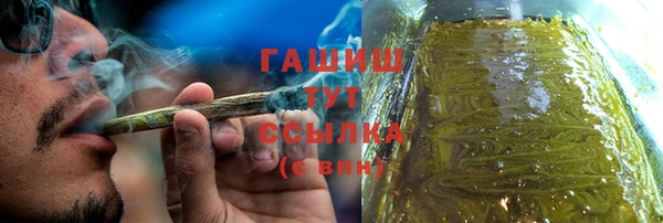 индика Баксан